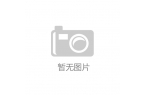 款震撼上市 推动中国房车迈向新纪元pg电